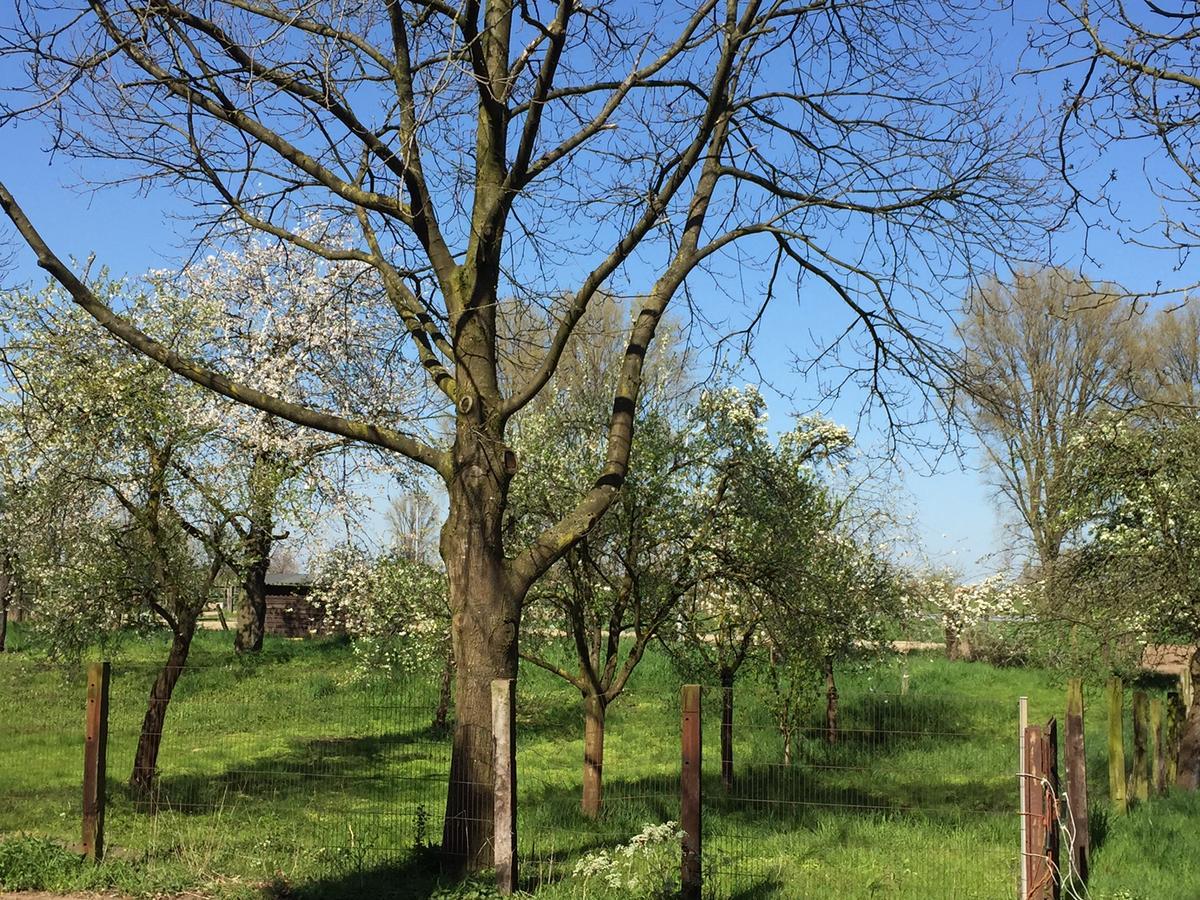 Gaestehaus Kersting Meerbusch Bagian luar foto